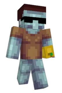 Circularized Minecraft avatar full body