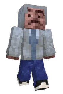 CitroenBerlingo Minecraft avatar full body