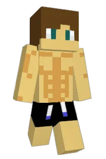 ClearEntity Minecraft avatar full body