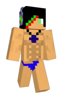 Cmink Minecraft avatar full body