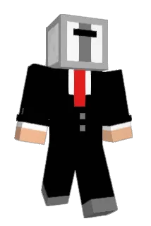 Co_OP_ Minecraft avatar full body