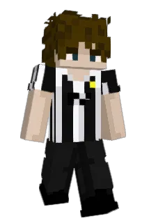 Co_ec Minecraft avatar full body