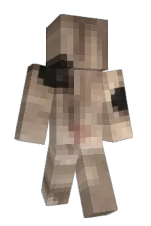 Co_yana Minecraft avatar full body