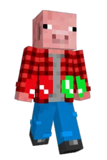 Cobus2222 Minecraft avatar full body