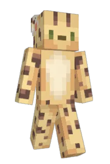 Cocacaco Minecraft avatar full body