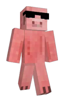 Cochonnetteuh Minecraft avatar full body