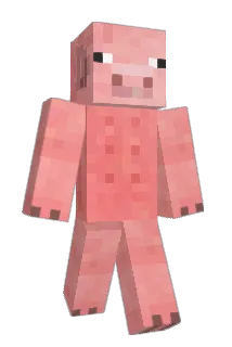 Cockatoo Minecraft avatar full body