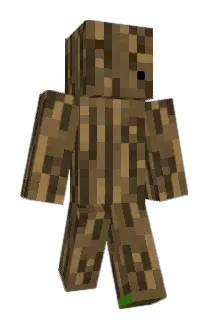 Cod_princess Minecraft avatar full body