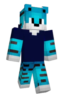 Code308 Minecraft avatar full body