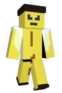 CodeNinjas108 Minecraft avatar full body