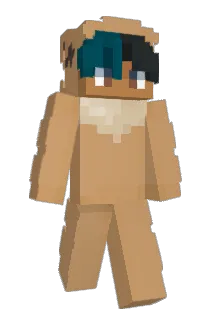 Codezoom Minecraft avatar full body