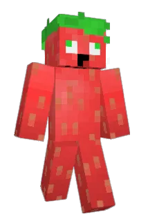 Codycam30 Minecraft avatar full body