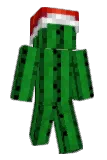 Cofv Minecraft avatar full body