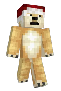 Cogito12 Minecraft avatar full body