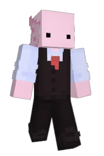 CoinDoge1 Minecraft avatar full body