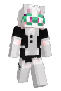 CoinJoint Minecraft avatar full body