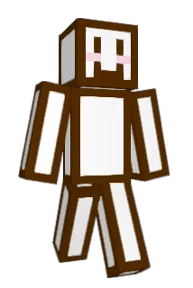 Coisini_cs Minecraft avatar full body