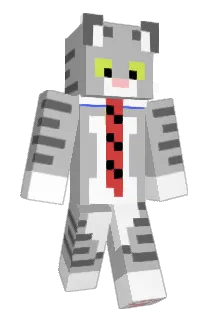 Coji4000 Minecraft avatar full body