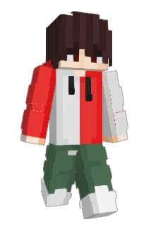 Cokibester554 Minecraft avatar full body