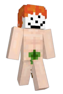Coks Minecraft avatar full body