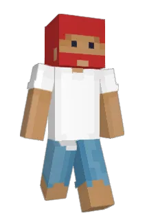 Colacao Minecraft avatar full body