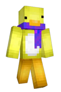 Coletennis Minecraft avatar full body