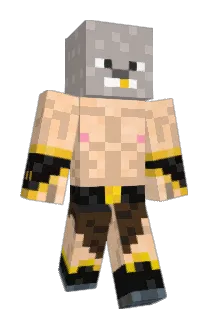 Colhearth Minecraft avatar full body