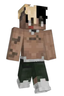 Collonyy Minecraft avatar full body