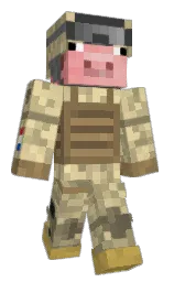 Custom render preview