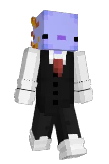 Comb1x Minecraft avatar full body
