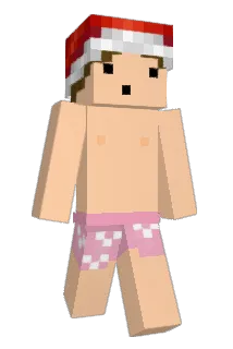 CombatKaKtus Minecraft avatar full body