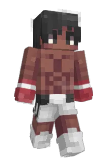 Combonadian Minecraft avatar full body