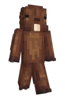 ComeOnShunR Minecraft avatar full body