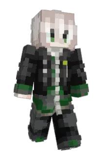 Common11037 Minecraft avatar full body