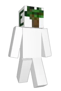 CommunityRealm Minecraft avatar full body