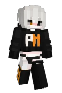 Compact_ Minecraft avatar full body