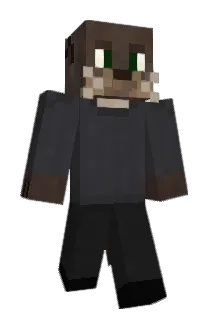 CompletedPi Minecraft avatar full body