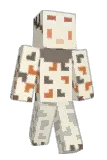 ConW2 Minecraft avatar full body