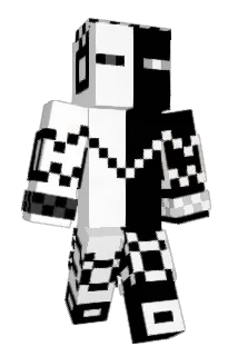 Concentrations Minecraft avatar full body