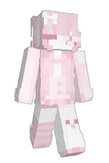 Conexx1on Minecraft avatar full body
