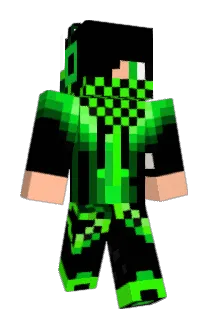 Conferencing Minecraft avatar full body
