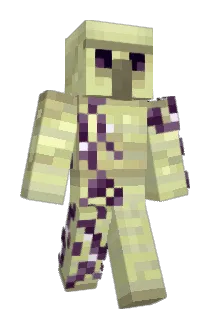 Confiscacion Minecraft avatar full body