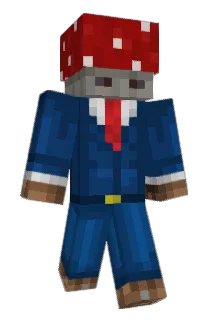Confused_Sou1 Minecraft avatar full body