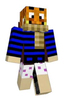 ConinYT Minecraft avatar full body