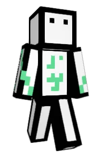 Conludus Minecraft avatar full body