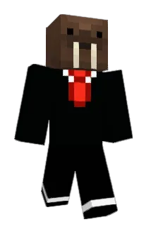 Conor_412 Minecraft avatar full body