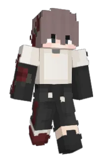Content__ Minecraft avatar full body