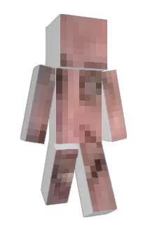 Continuations Minecraft avatar full body