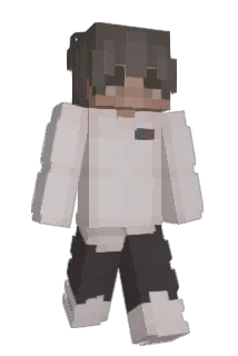 Conton Minecraft avatar full body