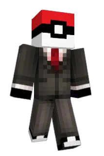 Converze Minecraft avatar full body